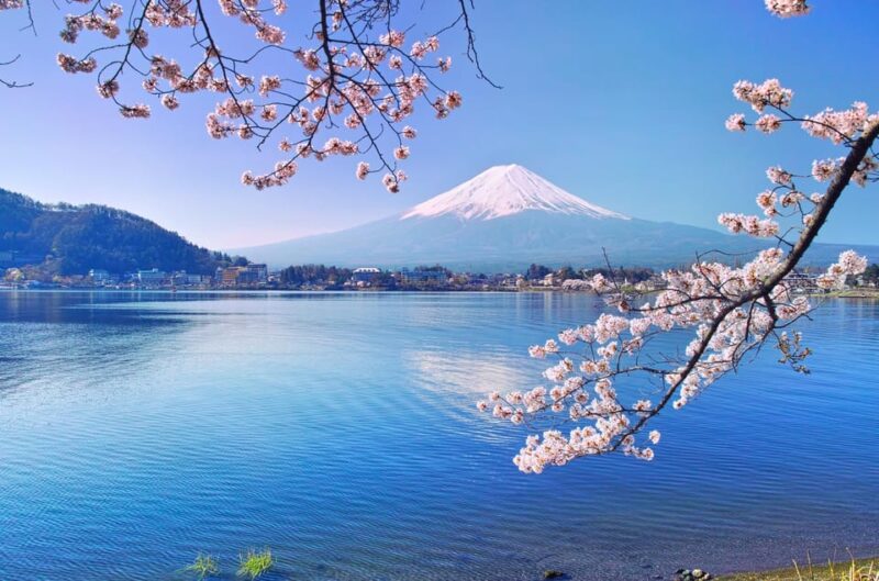 Private Customized Tour in Mount Fuji - Hidden Gems