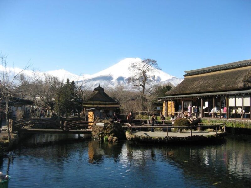 Private Customized Tour in Mount Fuji - Comfortable Transportation