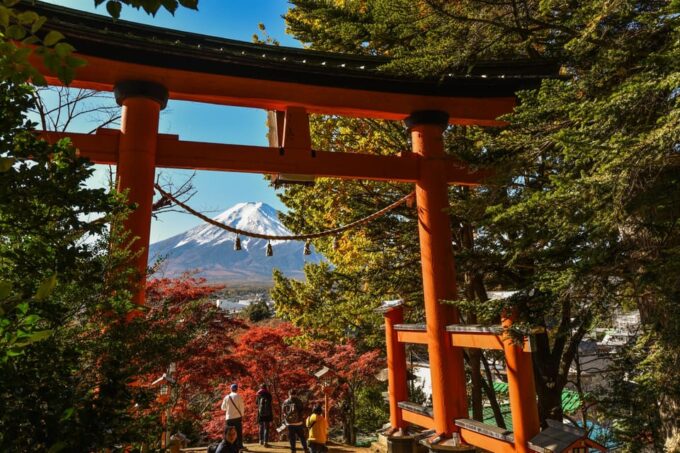 Private Customized Tour in Mount Fuji - Private Driver