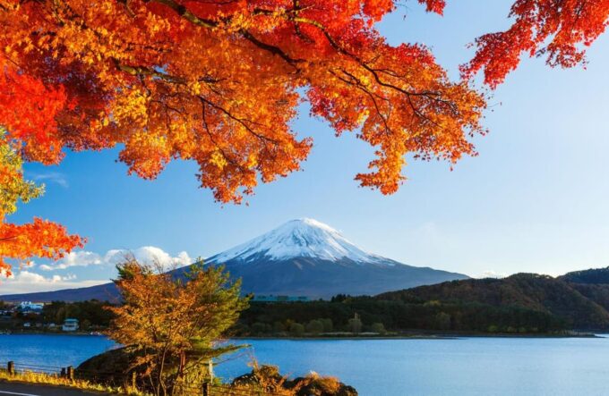 Private Customized Tour in Mount Fuji - Included Services