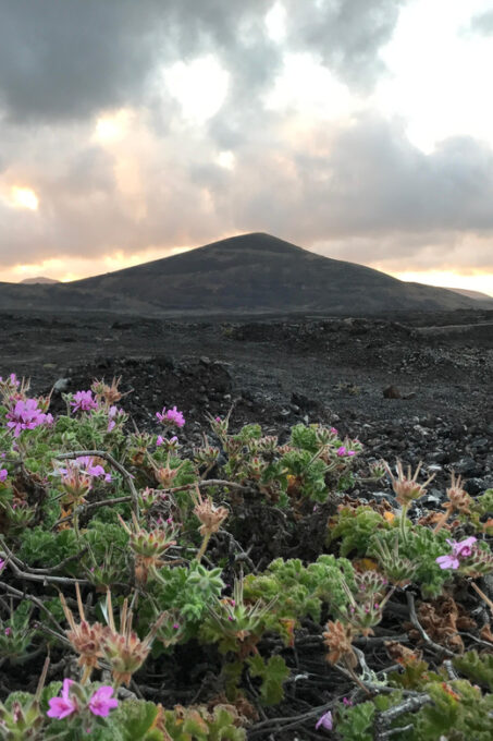 PRIVATE CUSTOMIZED TOUR OF LANZAROTE ISLAND - Island Highlights