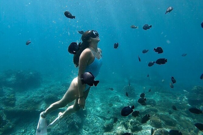Private Customized Tour With Local Guide - Inclusions