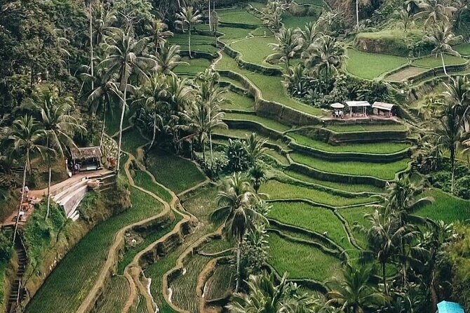 Private Customized Tour With Local Guide - Health and Accessibility