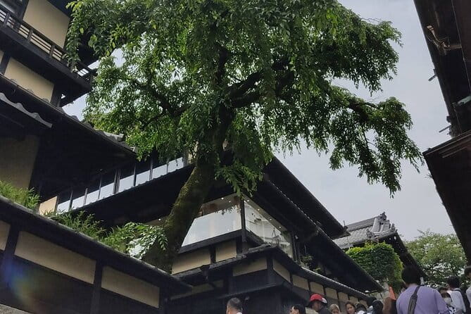 Private Customized Walking in Tour Kyoto - Personalized Itinerary Planning