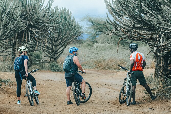 Private Cycle to Kilimanjaro Bike Park Safari - Key Points