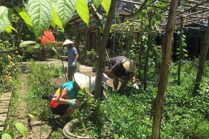 Private Cycling Tour in Rural Hue With Farming Experience - Immersive Activities