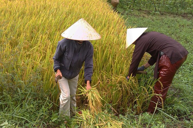 Private Cycling Tour in Rural Hue With Farming Experience - Scenic Cycling Route