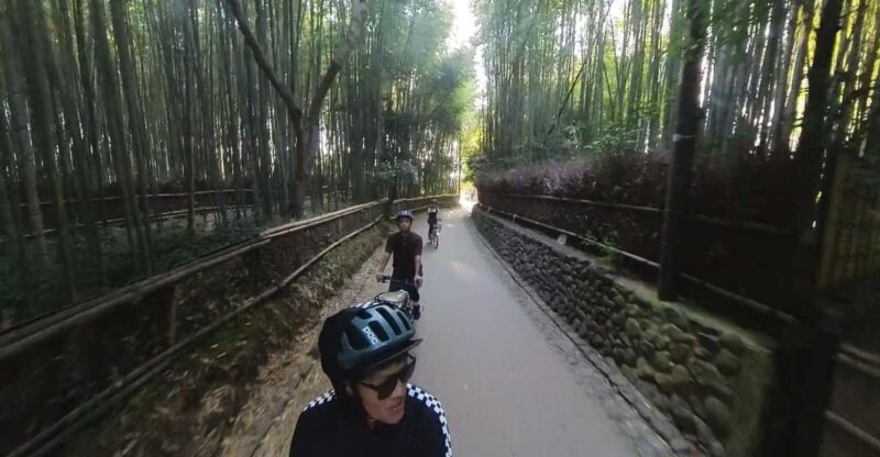 (Private) Cyclingtour in Arashiyama: EBIKE Tour With Guide - Highlights of the Tour