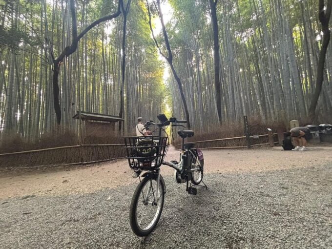 (Private) Cyclingtour in Arashiyama: EBIKE Tour With Guide - Frequently Asked Questions