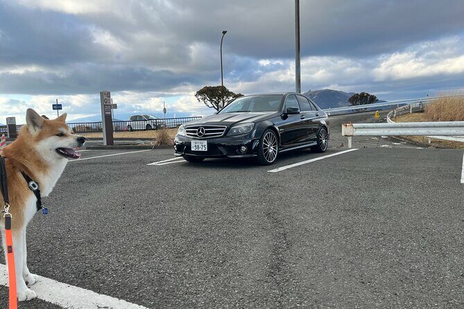 Private Daikoku Parking Area, Hakone turn Pike, Umihotaru Tours - An In-Depth Look at the Tour Experience
