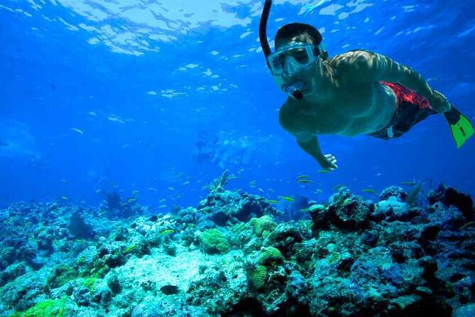 Private Daily Boat Tour ! - Customer Reviews