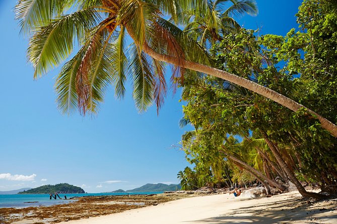 Private Daintree Wanderer Tour - Pickup Locations and Times