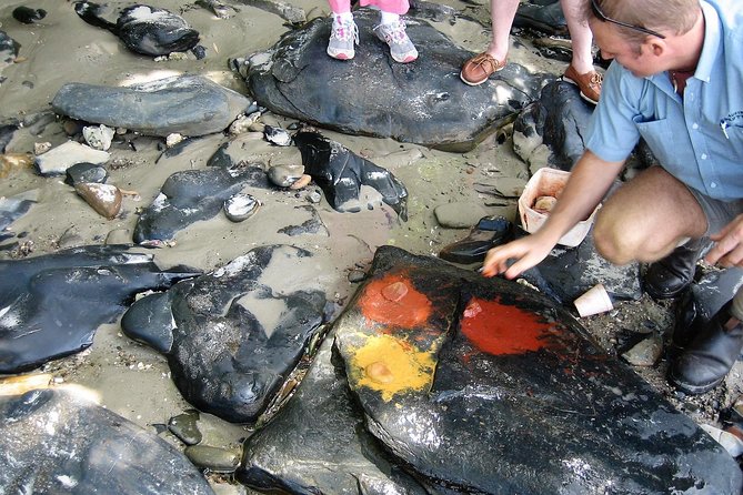Private Daintree Wanderer Tour - Additional Information