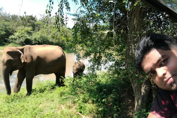 Private Dambulla Sigiriya Tour From Kandy With Friendly Chauffeur - Tour Details