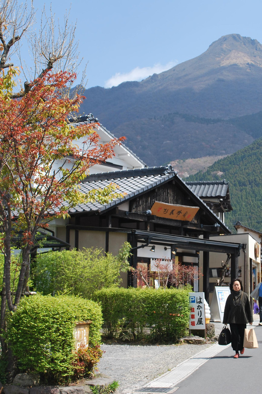 PRIVATE Day BUS Tour to KOKONOE & YUFUIN, BEPPU From Fukuoka - Key Points