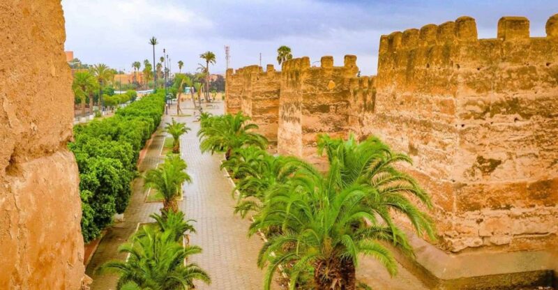Private Day Excursion to Taroudant Oissis Tiout With Lunch - Inclusions