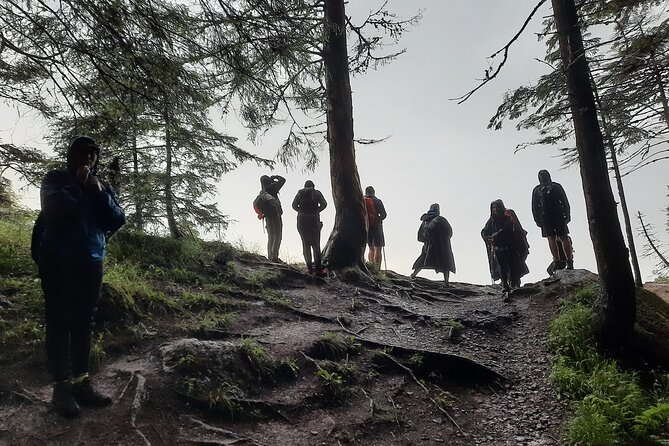 Private Day Hike From Brasov to Malaiesti Cottage - Included Services