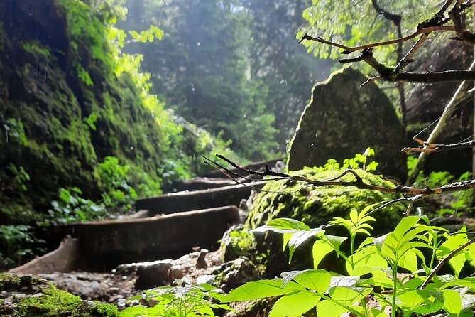 Private Day Hike From Brasov to Malaiesti Cottage - Additional Information