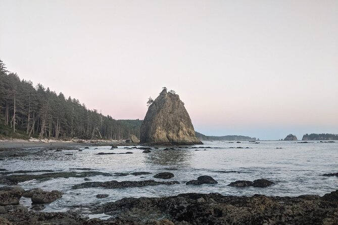Private Day Hike- Rialto Beach Tide Pooling - Hiking Trail Highlights