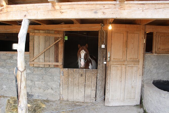 Private Day Horse Riding Trip to Sighnaghi With Lunch and Wine/Beer. - Inclusions for the Horseback Riding Experience