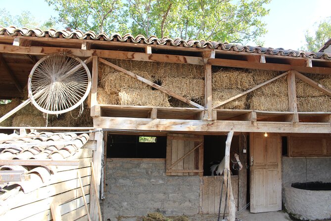 Private Day Horse Riding Trip to Sighnaghi With Lunch and Wine/Beer. - Meeting and Pickup Arrangements