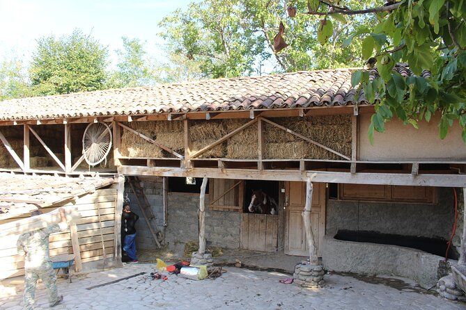 Private Day Horse Riding Trip to Sighnaghi With Lunch and Wine/Beer. - Cuisine and Beverages Served