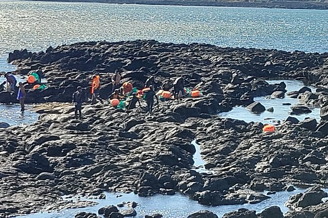 Private Day Mini Bus Taxi Tour Experienced Driver in Jeju Island - Accessibility and Pickup Information