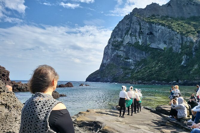 Private Day Mini Bus Taxi Tour Experienced Driver in Jeju Island - Planning Your Unforgettable Jeju Tour