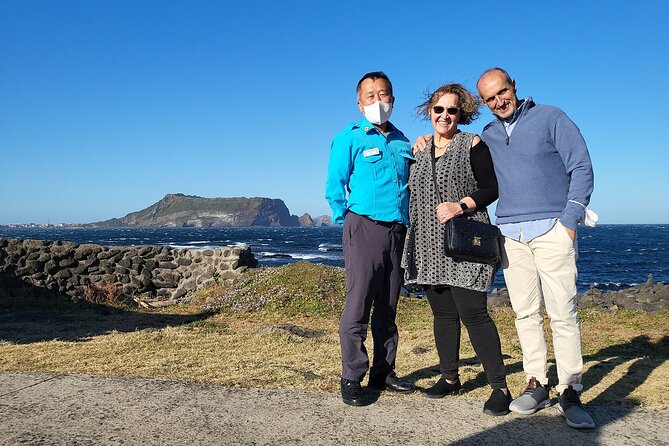Private Day Mini Bus Taxi Tour Experienced Driver in Jeju Island - Pricing and Inclusions