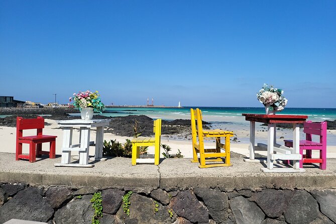 Private Day Mini Bus Taxi Tour Experienced Driver in Jeju Island - Customer Feedback and Response