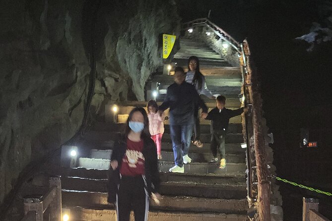 Private Day Mini Bus Taxi Tour Experienced Driver in Jeju Island - Planning Your Day Trip