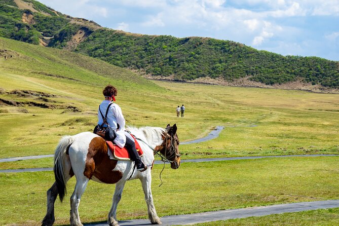 PRIVATE Day Minibus Tour to Mt.Aso & Kumamoto Castle From Fukuoka - Accessibility and Recommendations