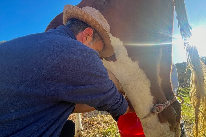 Private Day of Immersion in Country Life With Food - Key Points