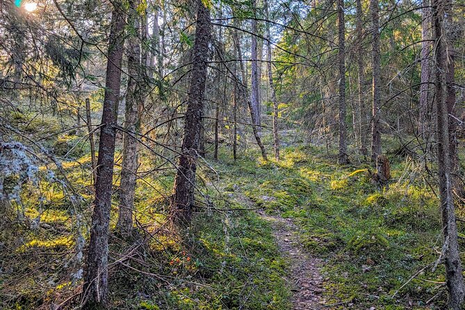 Private Day Road Trip From Helsinki: Raseborg, Fagervik, Porkkala - Discovering Fagerviks Charm