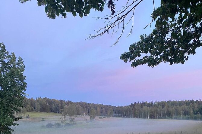 Private Day Road Trip From Helsinki: Raseborg, Fagervik, Porkkala - Scenic Coastal Drives