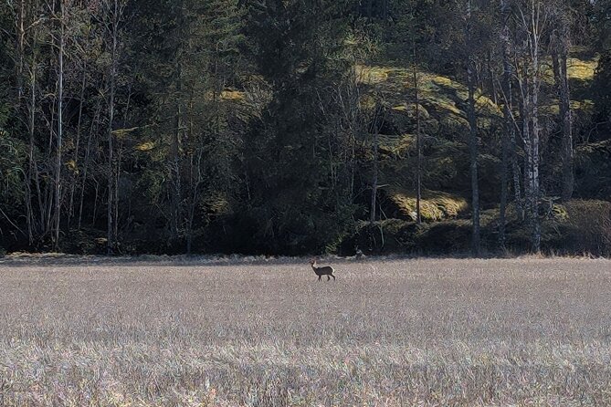 Private Day Road Trip From Helsinki: Raseborg, Fagervik, Porkkala - Tips for the Perfect Day Trip