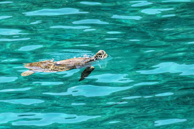 Private Day Sail BVI - Explore & Enjoy the British Virgin Islands - Relish the Included Lunch and Beverages