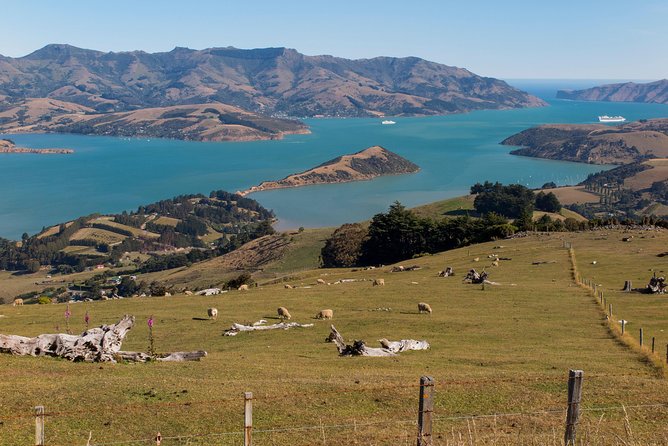 Private Day Scenic Excursion to Akaroa/Christchurch Ex Lyttelton - Highlights of Akaroa