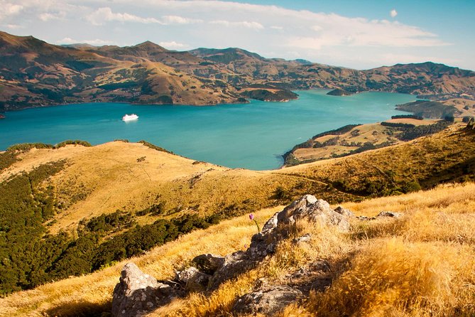 Private Day Scenic Excursion to Akaroa/Christchurch Ex Lyttelton - Returning to Christchurch
