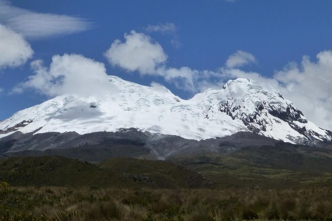 Private Day Tour: Antisana Volcano, Nature, Birds & Condors Watching - Key Points
