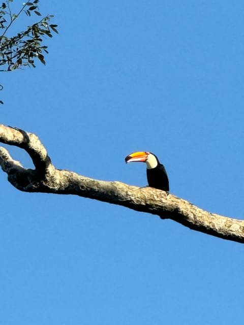Private Day Tour Brazil & Argentina Iguassu Falls - Key Points
