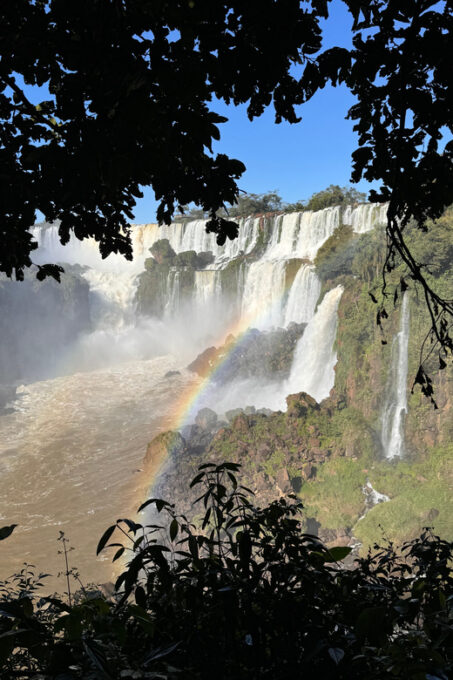 Private Day Tour Brazil & Argentina Sides of Iguassu Falls - Tour Inclusions