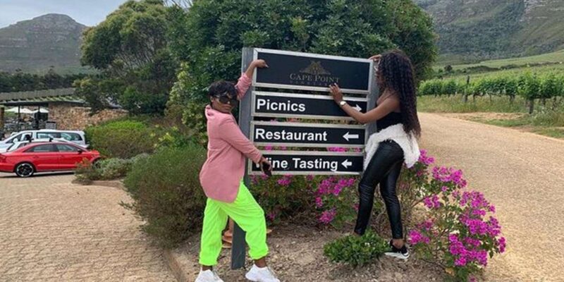 Private Day Tour Cape Point, Cape Of Good Hope & Penguins - Tailored Itinerary