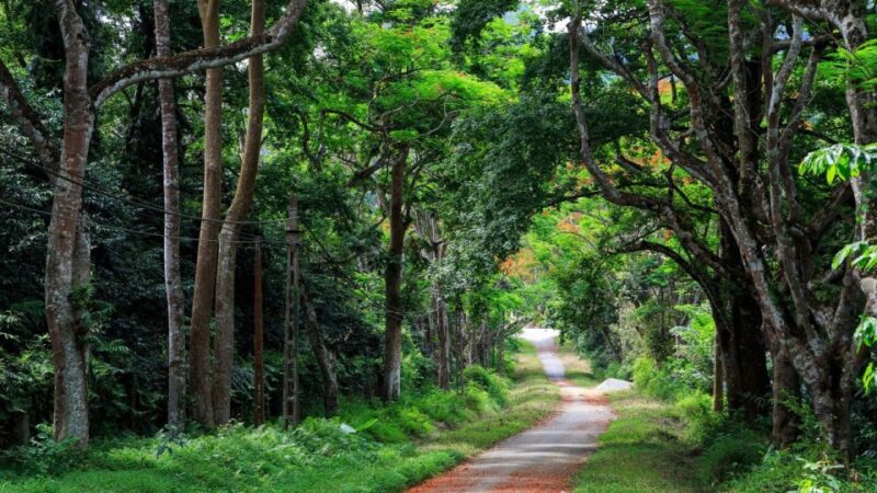 Private Day Tour: Cuc Phuong National Park From Hanoi - Tour Details
