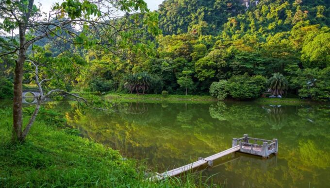 Private Day Tour: Cuc Phuong National Park From Hanoi - Jungle Trekking Experience