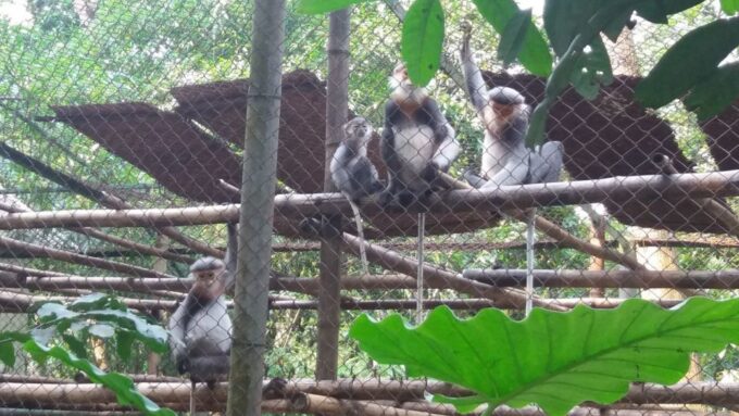 Private Day Tour: Cuc Phuong National Park From Hanoi - Cancellation Policy