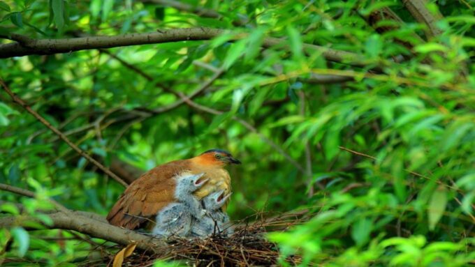 Private Day Tour: Cuc Phuong National Park From Hanoi - Frequently Asked Questions