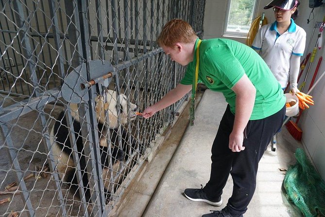 Private Day Tour: Dujiangyan Panda Base Volunteering From Chengdu - Tour Overview