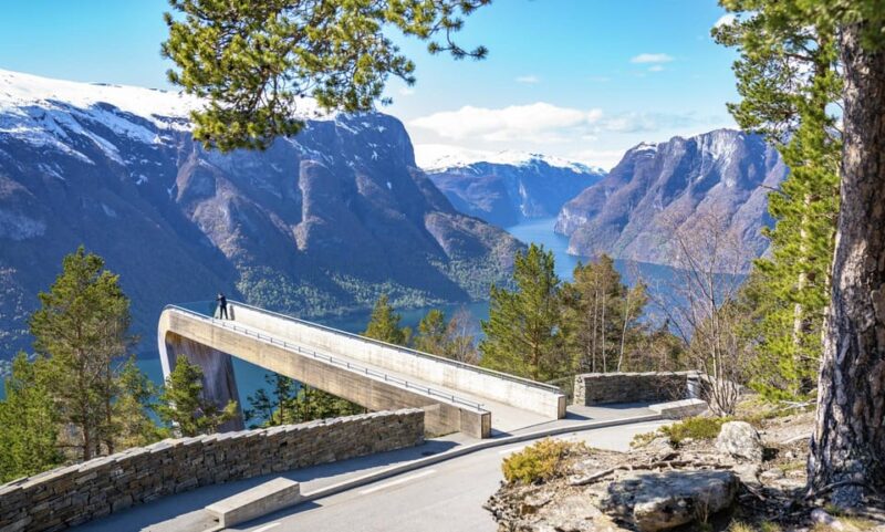 Private Day Tour- Flam Railway & Fjord Cruise From Bergen - Itinerary Highlights