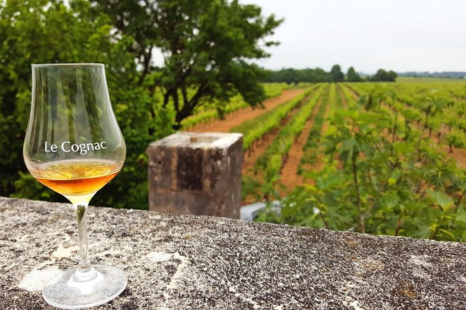 Private Day-Tour From Angouleme: Facets of Cognac : Vine to Glass - Practical Details